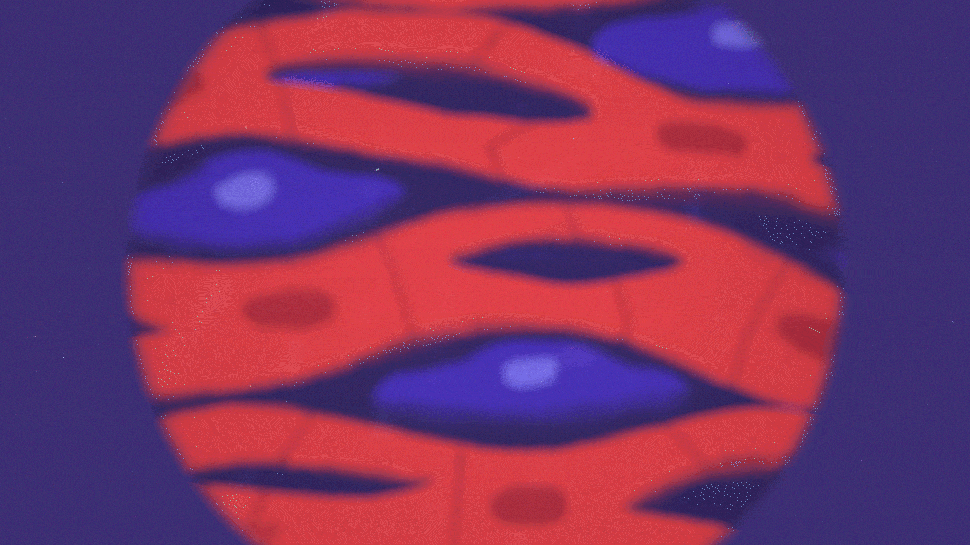 PULSE_GIF_shot_19-24_optimized